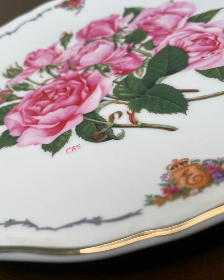 دیوارکوب رویال آلبرت The Queen Elizabeth Rose